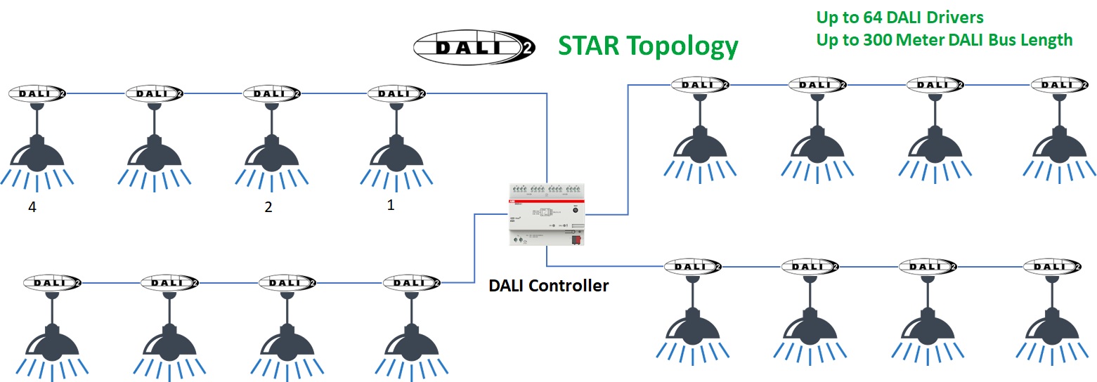 DALI STAR Topology
