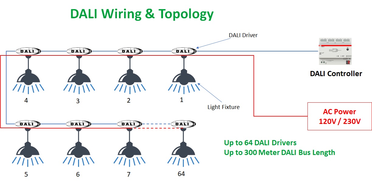 DALI Wiring topology
